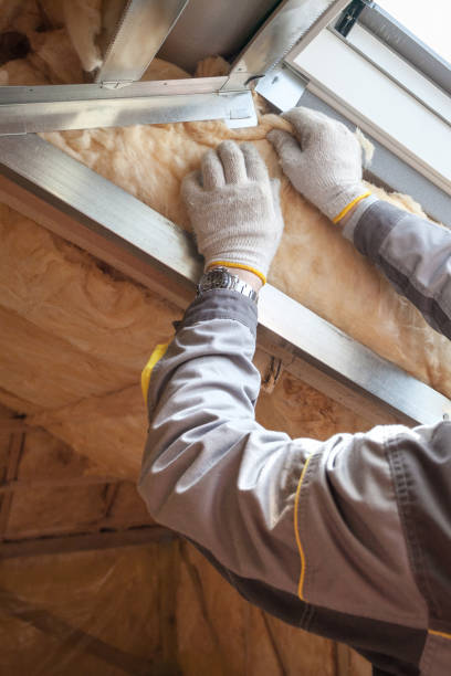 Best Wall Insulation Contractor  in Oak Leaf, TX