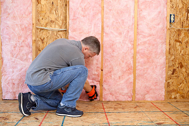 Best Cellulose Insulation  in Oak Leaf, TX