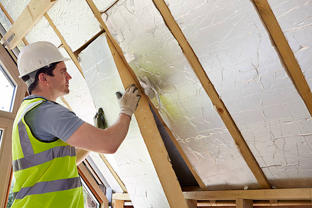 Best Insulation Inspection Services  in Oak Leaf, TX
